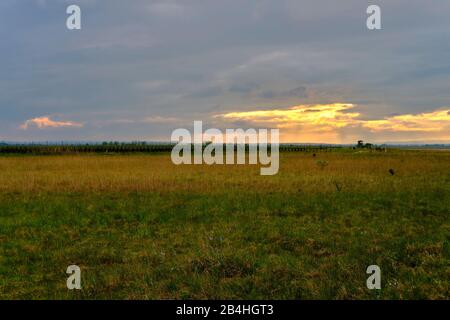 Tempête sur le Langer Lacke et Wörthenlacke à Apetlon dans le Parc National Neusiedler See, Burgenland, Autriche Banque D'Images