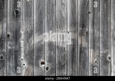 texture des planches de bois gris Banque D'Images