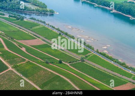 Vue aérienne sur la rive peu profonde du Rhin dans les vignobles et la circulation sur une route de campagne Banque D'Images