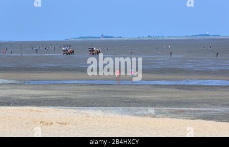 Mer des Wadden à marée basse avec l'île Neuwerk Watt Wanderers et les wagons Watt dans le district de Duhnen, station balnéaire de la mer du Nord Cuxhaven, estuaire d'Elbe, mer du Nord, côte de la mer du Nord, Basse-Saxe, Allemagne Banque D'Images