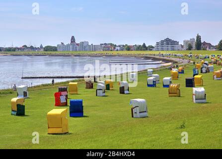 Plage d'herbe avec chaises de plage sur la digue de Grimmershörnbucht, station de la mer du Nord Cuxhaven, estuaire d'Elbe, mer du Nord, côte de la mer du Nord, Basse-Saxe, Allemagne Banque D'Images