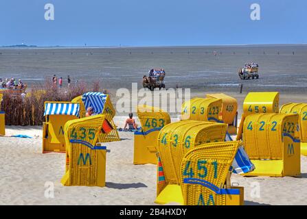 Plage avec chaises de plage sur la mer des Wadden à marée basse avec Wattwagen dans le quartier de Duhnen, station balnéaire de la mer du Nord Cuxhaven, estuaire d'Elbe, mer du Nord, côte de la mer du Nord, Basse-Saxe, Allemagne Banque D'Images