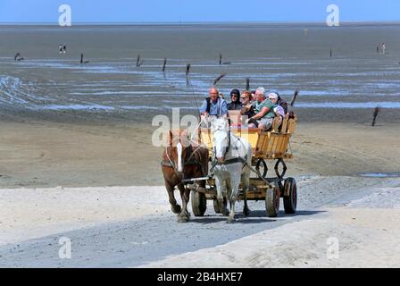 Mer des Wadden à marée basse avec Wattwagen dans le district de Duhnen, station balnéaire de la mer du Nord Cuxhaven, estuaire de l'Elbe, mer du Nord, côte de la mer du Nord, Basse-Saxe, Allemagne Banque D'Images