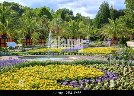 Jardin de palmiers avec fontaines et bordures fleuries dans le parc thermal Bad Pyrmont, Staatsbad Emmertal, Weserbergland, Basse-Saxe, Allemagne Banque D'Images