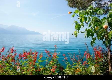 Sup, Stand up paddling, Riviera de Montreux, Lac Léman, canton vaud, Suisse Banque D'Images