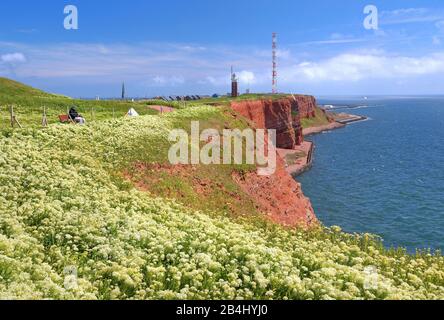 Falaise du nord-ouest avec phare et tour de transmission sur l'Oberland, Heligoland, baie d'Heligoland, Golfe allemande, île de la mer du Nord, Mer du Nord, Schleswig-Holstein, Allemagne Banque D'Images