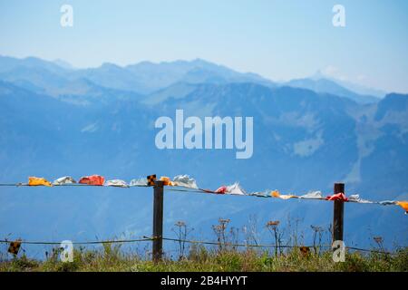 Rochers-De-Naye, Montreux, Vaud, Suisse Banque D'Images