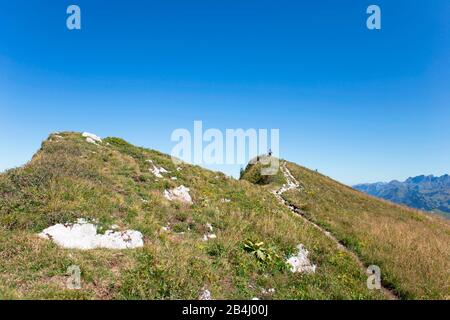 Rochers-De-Naye, Montreux, Vaud, Suisse Banque D'Images