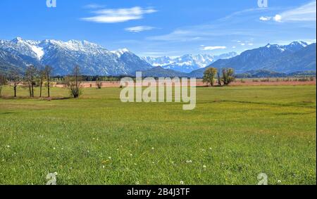 Paysage dans les zoos de Murnauer contre Hohe Kisten 1922m dans le groupe Estergebirge Zugspitze 2962 dans les montagnes de Wetterstein et les Alpes d'Ammergau près de Murnau, Loisachtal, Blue Land, Haute-Bavière, Bavière, Allemagne Banque D'Images