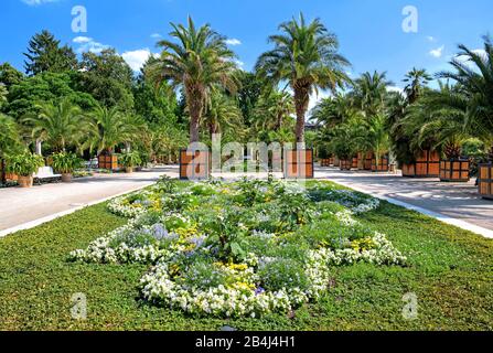 Jardin de palmiers dans le parc thermal Bad Pyrmont, Staatsbad Emmertal, Weserbergland, Basse-Saxe, Allemagne Banque D'Images