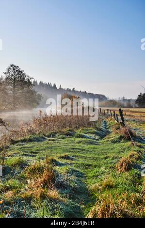 Allemagne, Basse-Saxe, Lüneburg Heath, Lüneburg, Düvelsbrook, Teufelsmoor, Uferweg, rivière, Ilmenau, brouillard, humeur du matin Banque D'Images