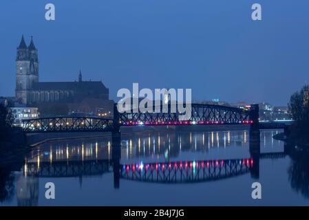 Allemagne, Saxe-Anhalt, Magdeburg, cathédrale et pont élévateur à l'heure bleue, Elbe, la nuit. Banque D'Images