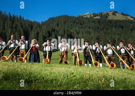 Autriche, Vorarlberg, petit Walsertal, Baad, Alphorn Festival, Alphorn souffleur, pré. Banque D'Images