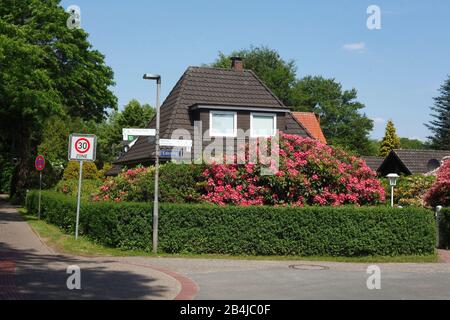 Bâtiment résidentiel moderne avec couverture de jardin et fleurs de rhododendron, Bad Zwischenahn, Basse-Saxe, Allemagne, Europe Banque D'Images