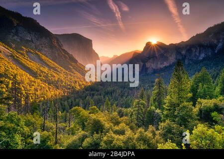 États-Unis, États-Unis D'Amérique, Yosemite National Park, Californie Banque D'Images