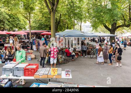 Suisse, canton de Zurich, Zurich, Bürkliplatz, marché aux puces, marché, antiquités, disques Banque D'Images