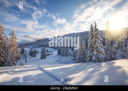 Domaine skiable de Cherz Pralongia, la Viza hutte, Cherz, Livinallongo del Col di Lana, Belluno, Vénétie, Italie Banque D'Images