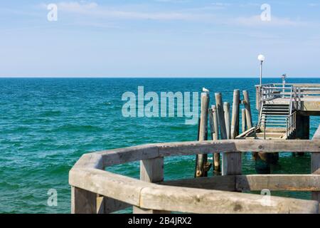 Ostsee, Fischland, Darss, Seebad Wustrow, Seebrücke, Holzgeländer, Möwe Banque D'Images