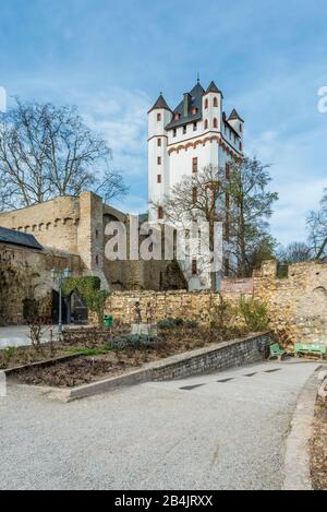 Château électoral à Eltville, la ville des roses du Rheingau, château de la tour sur les rives du Rhin, abrite maintenant un bureau de registre et le musée Gutenberg, Banque D'Images