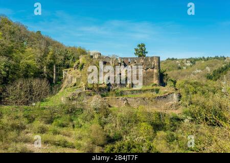 Dalburg à Dalberg à Gräfenbachtal dans le district de Bad Kreuznach, un château à éperon avec tranchée de cou, constructeur est Godebold de Weyersbach, aujourd'hui propriétaire: Prince de Salm-Salm, Banque D'Images