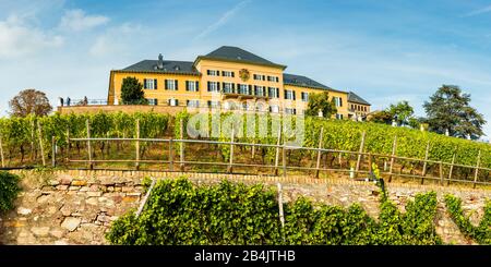 Château Johannisberg dans le Rheingau Banque D'Images