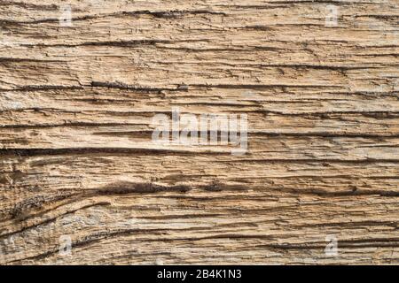 texture abstraite avec formes linéaires d'une vieille planche en bois Banque D'Images