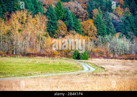 Paysage avec une magnifique route sinueuse de terre parsemée de gravier fin passant par un pré et de s'entorquer dans une colline surcultivée avec la forêt avec yello Banque D'Images