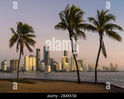 Skyline, Brickell Ave Buildings, Miami, Floride, États-Unis Banque D'Images