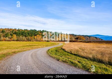 Paysage avec une magnifique route sinueuse de terre parsemée de gravier fin passant par un pré et de s'entorquer dans une colline surcultivée avec la forêt avec yello Banque D'Images