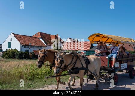 Allemagne, Mecklembourg-Poméranie-Occidentale, Hiddensee, transport avec touristes à Neuendorf, île de Hiddensee. Banque D'Images