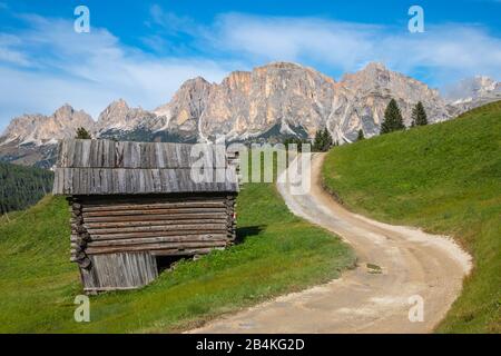 Cabane typique des prairies d'Incisa, en arrière-plan Col Toron, Ciampatsch, Sass Ciampei, groupe Puez, Dolomites, Corvara à Badia, Bolzano, Tyrol du Sud, Itay Banque D'Images