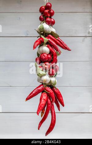 Tresse de poivrons chauds et d'ail accrochés dans un marché local de produits à Baska, île de Krk, baie de Kvarner, comté de Primorje-Gorski Kotar, Croatie Banque D'Images