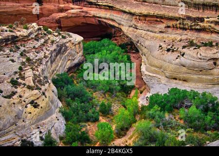 États-Unis, États-Unis D'Amérique, Utah, Arizona, Bridges National Monument, San Juan Country, Utah, Plateau Du Colorado, White Canyon, Armstrong Canoyn, Banque D'Images