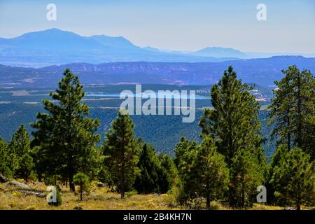 États-Unis, États-Unis D'Amérique, Red Canyon, Dixie National Forest, Bryce Canyon, Utah, Sud-Ouest Des États-Unis, Utah State Route 12, Scenic Byway, Escalante, Capitol Reef National Park, Banque D'Images