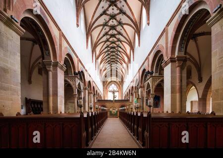 Vue intérieure de la nef de l'église laïque avec des canopes, crucifix, église du monastère, coffre-fort de réseau, Abbaye de Maulbronn, ancienne abbaye cistercienne, Maulbronn, Bade-Wurtemberg, Allemagne Banque D'Images