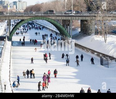 Patineurs sur la patinoire du canal Rideau : des centaines de patineurs et de marcheurs se bousclent sur la célèbre patinoire linéaire qui serpente dans la ville d'Ottawa pendant le festival winterlude. Banque D'Images