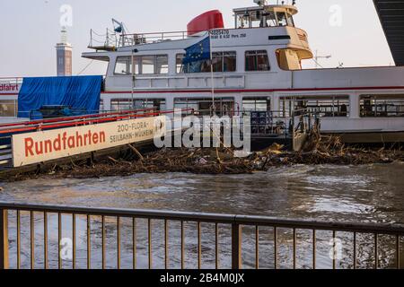 Inondation, Rhin, débarcadère du navire, Cologne, Rhénanie-du-Nord-Westphalie, Allemagne, Europe Banque D'Images