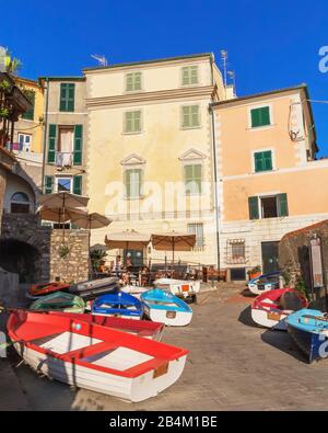 Avis de Tellaro, village du district de Lerici, La Spezia, Ligurie, Italie, Banque D'Images