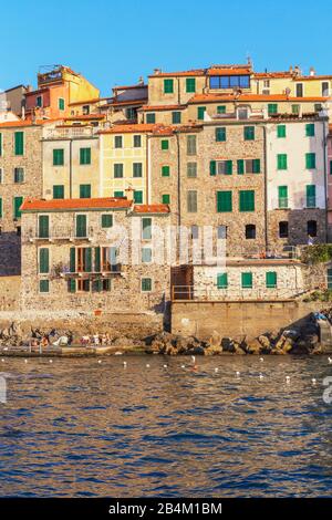 Avis de Tellaro, village du district de Lerici, La Spezia, Ligurie, Italie, Banque D'Images