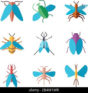 icône insectes mouches sur fond blanc, style plat, illustration vectorielle Illustration de Vecteur