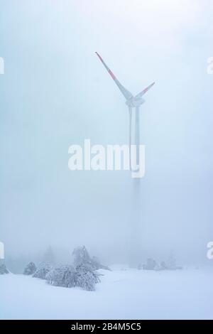 Allemagne, Bade-Wurtemberg, Forêt Noire, éolienne sur la Hornisgrinde. Banque D'Images