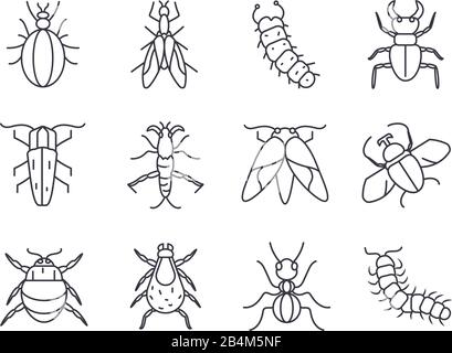 ensemble d'icônes de concept d'insectes sur fond blanc, style de détail de ligne, illustration vectorielle Illustration de Vecteur