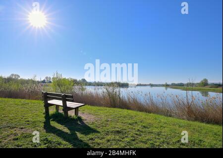 Lac Altmühlsee avec banc au lever du soleil au printemps, Muhr am See, Gunzenhausen, Franconian Lake District, Franconie centrale, Bavière, Allemagne Banque D'Images