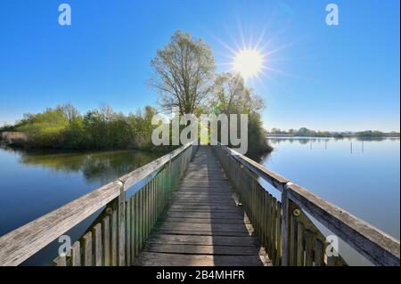 Lac Altmühlsee avec passerelle en bois au lever du soleil au printemps, Muhr am See, Gunzenhausen, Franconian Lake District, Franconie centrale, Bavière, Allemagne Banque D'Images