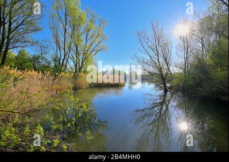 Lac Altmühlsee au lever du soleil au printemps, Muhr am See, Gunzenhausen, Franconian Lake District, Franconie centrale, Bavière, Allemagne Banque D'Images