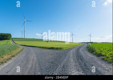 Sentier en forêt avec des graninfield et des éoliennes en été, Retzstadt, Franconie, Bavière, Allemagne Banque D'Images