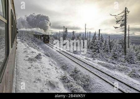 Harz chemin de fer étroit sous la vapeur pleine dans le paysage d'hiver sur le chemin du sommet de Brocken Banque D'Images