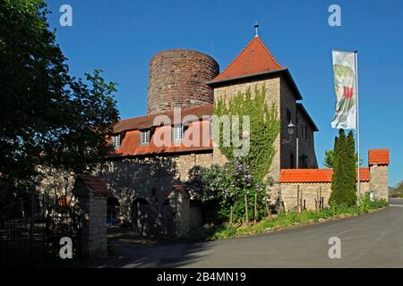 Allemagne, Bavière, Basse-Franconie, Hammelburg, Château de Saaleck, les racines remontent au XIIe siècle Banque D'Images