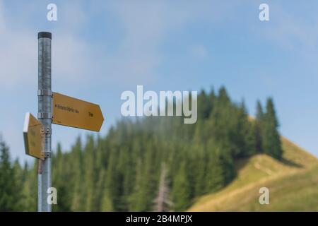 L'été en Bavière. Impressions des contreforts des Alpes: Randonnée dans les montagnes sur le Hörnle. Signpost à l'arrière Hörnle. Banque D'Images