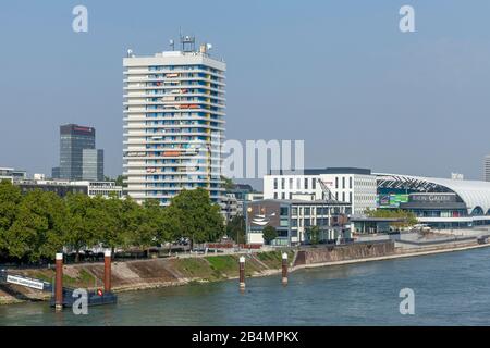 Rhin, Ludwigshafen Am Rhein, Rhénanie-Palatinat, Allemagne, Europe Banque D'Images